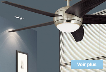 Ventilateurs de plafond avec télécommande et éclairage